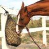 slow feed hay nets hanging
