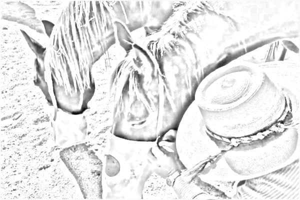 horse feed bag part2