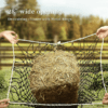 Slow Hay Feeder For Horses detail