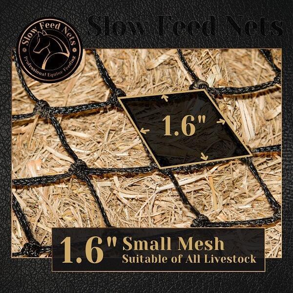 Slow Hay Feeder For Horses size