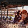 slow feed hay nets with pony