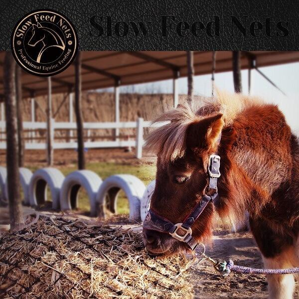 slow feed hay nets with pony